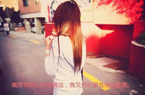 狗狗书籍:性是最美的情怀