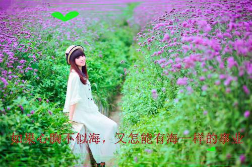 高中生有哪些必读的历史著作