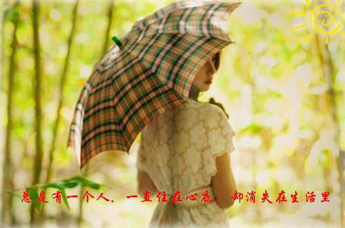 爱意搁浅高质量小说番茄烩虾小说全文免费阅读