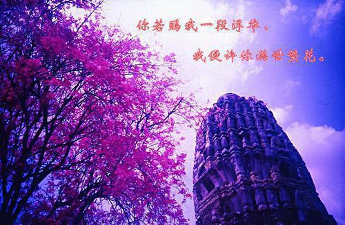 阎罗大法师最新章节_阎罗大法师全文免费阅读