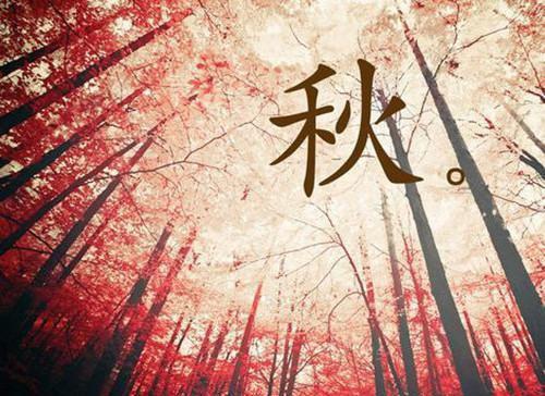 网恋失败后我成了全网白月光：全文+后续+结局（祝南音贺祁临）全文免费阅读无弹窗大结局_祝南音贺祁临免费阅读最新章节列表（网恋失败后我成了全网白月光：全文+后续+结局）