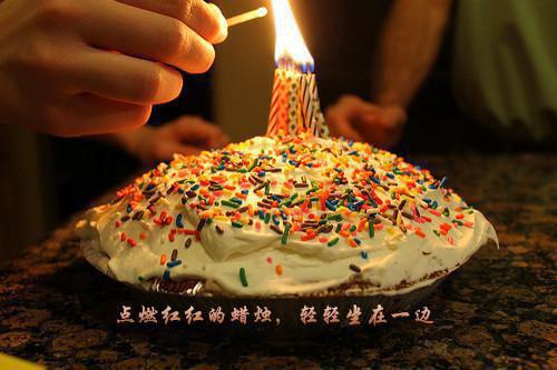 宋月莹冯廷烨（完整全集已完结大结局小说）宋月莹冯廷烨全文阅读