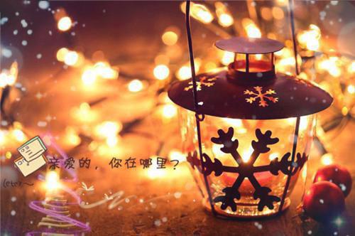 要不要跟我走，我带你回家免费小说岑稚靳遇白全章节阅读