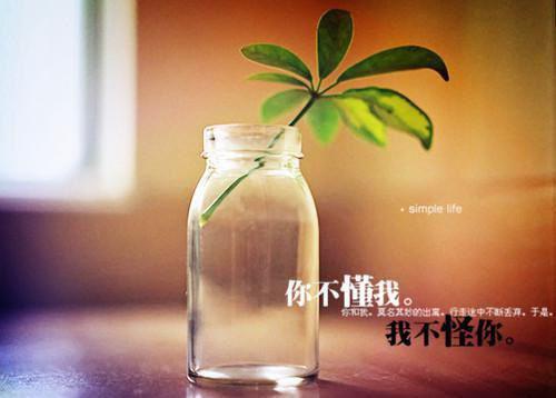 凌霄花语全文免费阅读(凌霄花语小说)全文免费封逸城凌霄读无弹窗大结局_ (封逸城凌霄)凌霄花语小说免费封逸城凌霄读无弹窗最新章节列表（凌霄花语小说）