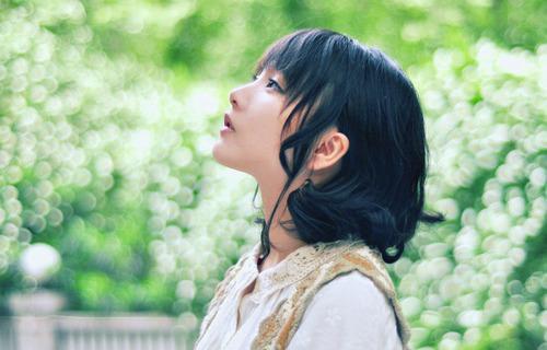 关于树的故事树妈妈的信