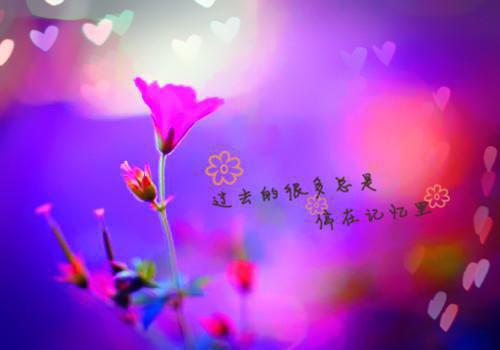 她比星光更璀璨最新章节_她比星光更璀璨全文免费阅读