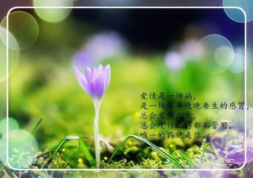 十二星座神话故事之水瓶座