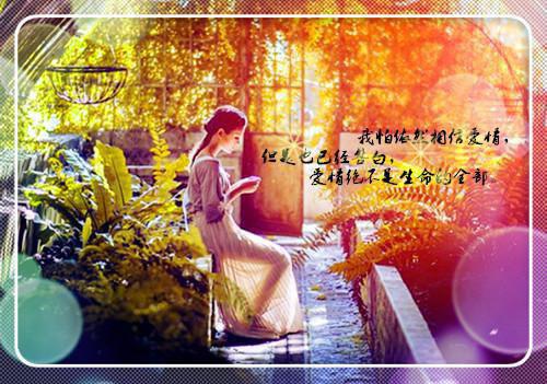麦当劳成功之道