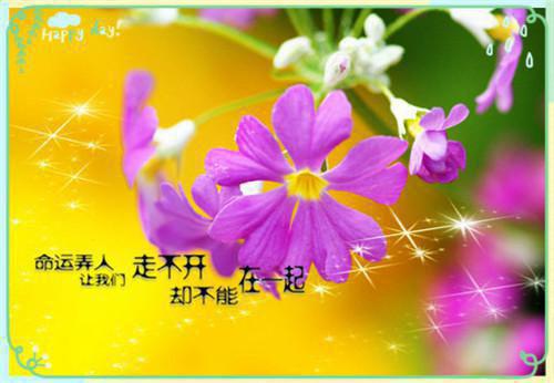 心安寻回小说全文免费阅读(李向阳徐娟 )全文在线李向阳徐娟 读无弹窗大结局_(心安寻回小说李向阳徐娟 )心安寻回小说在线李向阳徐娟 读无弹窗最新章节列表(李向阳徐娟 )