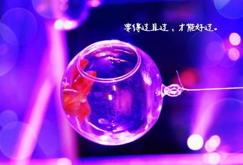 大学生自己成功的经历有哪些