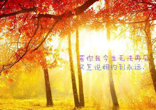 职场积极励志短文
