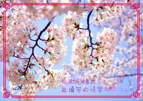 关于少儿励志的故事
