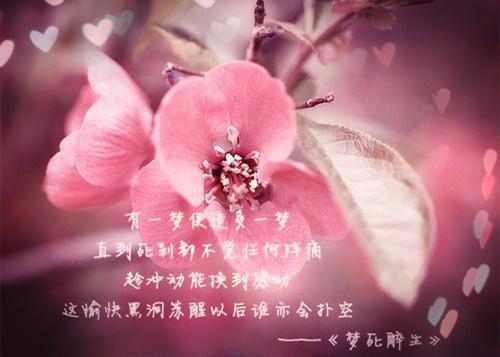 一个人开车时适合听的音乐