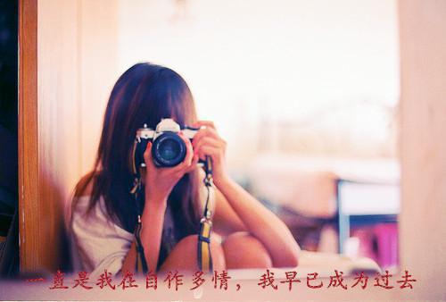 《沈依宁长愠》全文免费阅读无弹窗大结局-沈依宁长愠 全文全章节免费阅读