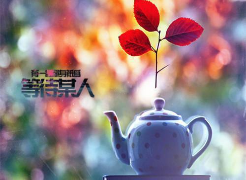 机械设计专业个人简历范文