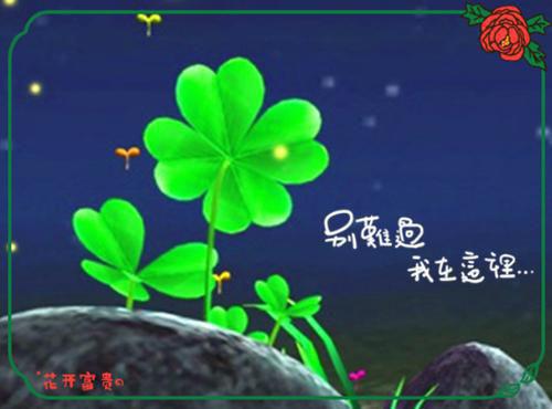 颜茉陆景琛小说阅读小说全本完结版免费阅读