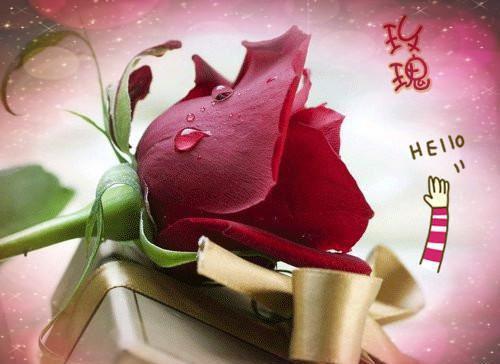 音乐大师郎朗的成功故事