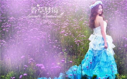 八岁厨王小说全文免费阅读(苏鑫）小说全文免费苏鑫读无弹窗大结局_（苏鑫）八岁厨王小说小说全文免费苏鑫读最新章节列表（苏鑫）