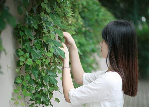 经典感情故事