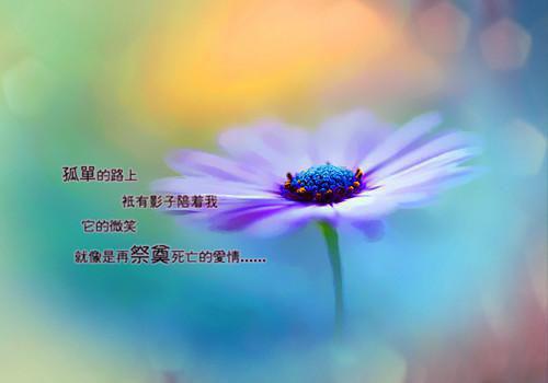 生活很不容易的伤感签名 生活很累的难过签名
