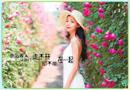 侍女怀孕后我改嫁摄政王，天阉夫君悔疯了最新章节_侍女怀孕后我改嫁摄政王，天阉夫君悔疯了全文免费阅读