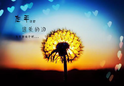 新婚夜战神侯爷被偷袭林若昭萧瑾林若昭萧瑾小说_新婚夜战神侯爷被偷袭林若昭萧瑾完结版阅读