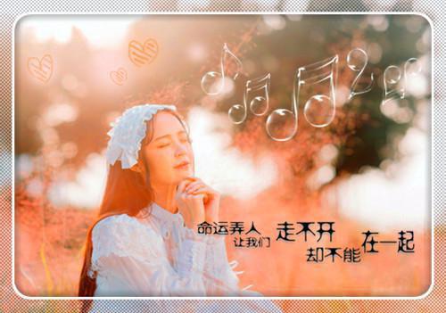毒医凰妃，妖孽国师求放过最新章节_毒医凰妃，妖孽国师求放过全文免费阅读