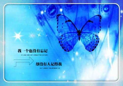 七岁儿童睡前励志故事