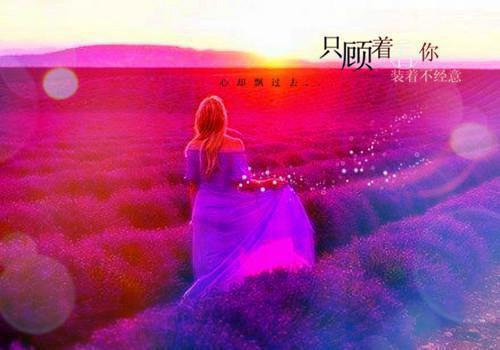 唐语泠徐墨尘小说(唐语泠徐墨尘)全文免费阅读无弹窗大结局_ 唐语泠徐墨尘最新章节列表（唐语泠徐墨尘小说）