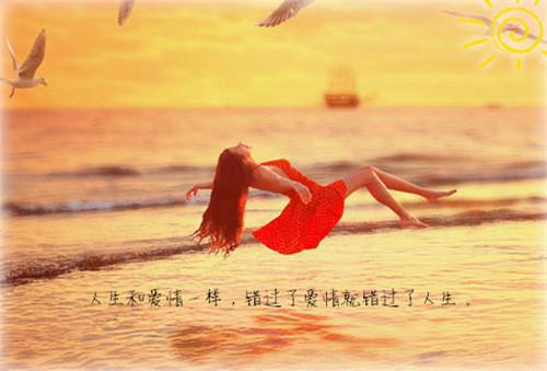 新书热荐免费小说裴鹤鹿圆全文完整版-雪带爱意奔走无弹窗大结局阅读