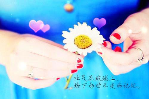 知了满天星最新章节_知了满天星全文免费阅读