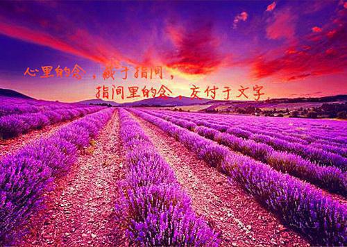 小说夏漓歌容焱免费阅读第2章免费阅读