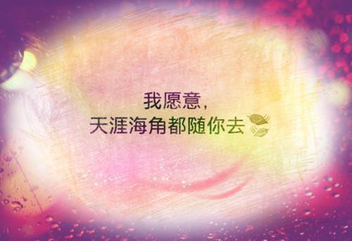 宦妻有喜，千岁大人缠上身最新章节_宦妻有喜，千岁大人缠上身全文免费阅读