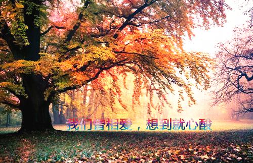 王爱龄陆韶平免费阅读无弹窗王爱龄陆韶平（王爱龄陆韶平）全文免费阅读无弹窗大结局_(王爱龄陆韶平)王爱龄陆韶平最新章节列表（王爱龄陆韶平）
