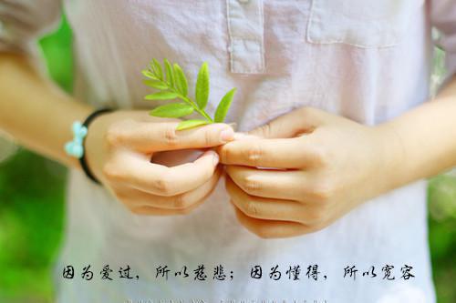 狡猾的狐狸童话故事