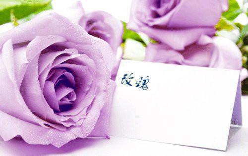 化验员个人简历范文
