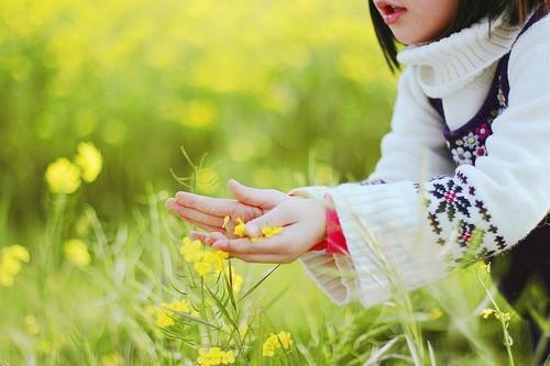 戚芷兰江旻辞（戚芷兰江旻辞）小说全文免费阅读无弹窗大结局_（戚芷兰江旻辞）戚芷兰江旻辞小说全文免费阅读最新章节列表（戚芷兰江旻辞）