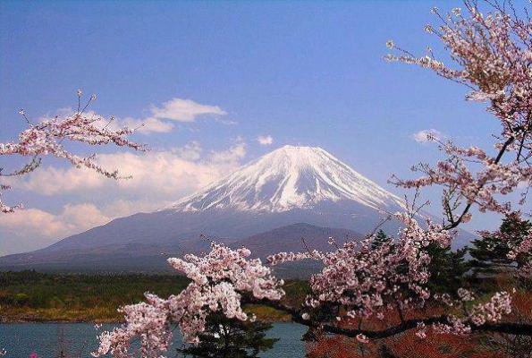 个人履历英文模板