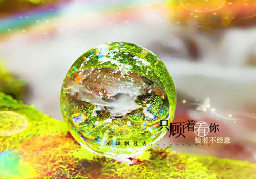 个人简历模板word版范文