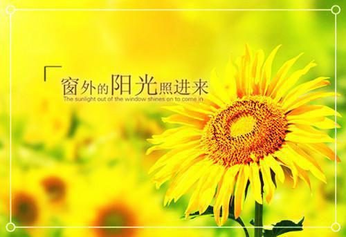 人生必看的经典励志书籍有哪些