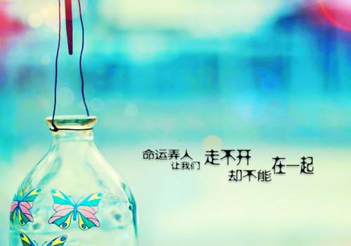神级卡牌系统最新章节_神级卡牌系统全文免费阅读