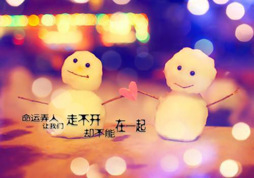 小说名叫：黑色快门：陈州陈韵的小说已完结在线免费阅读大结局,小说主角是：陈州陈韵在线阅读全本资源