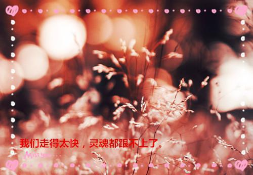 长姐替嫁，我被分尸范之心范之闵裴文完结版全章节阅读