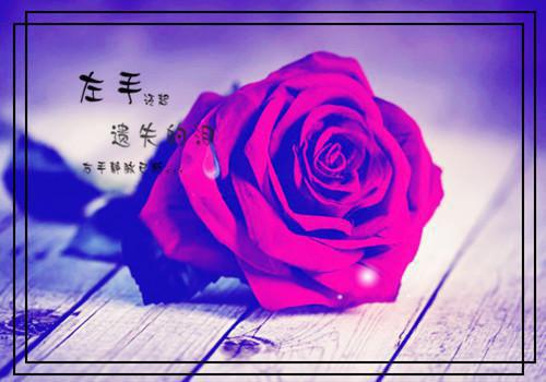 2023详细的个人简历范文