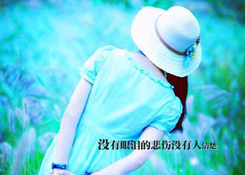 爱恨随风，暮开朝落:全文+番外池晚小说全文免费阅读