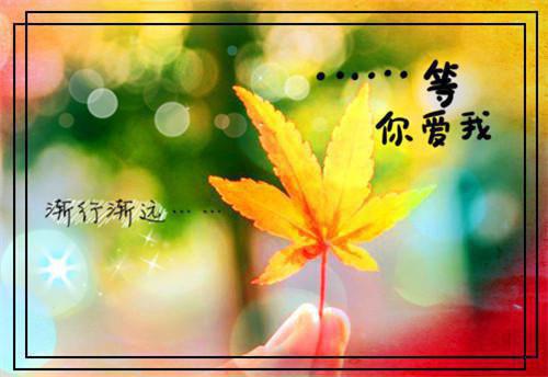 晚月明悟炎炎小说全文免费炎炎读无弹窗大结局_(晚月明悟炎炎)炎炎最新章节列表（晚月明悟炎炎）