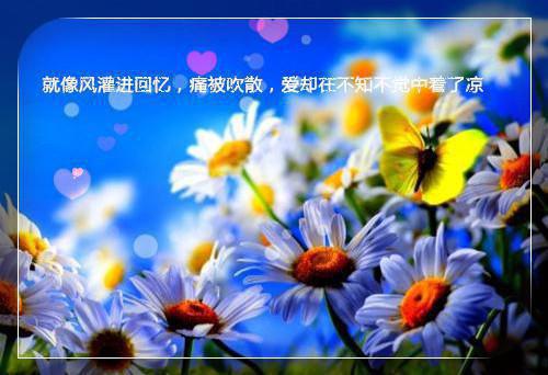 那场雨，那场青春的故事