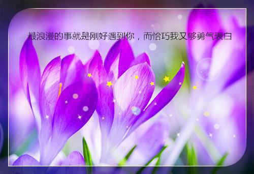 少儿睡前故事文字版四篇