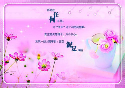 沈儿罪恶小说全文免费阅读(张晓茜张刚)全文在线张晓茜张刚读无弹窗大结局_(沈儿罪恶小说张晓茜张刚)沈儿罪恶小说在线张晓茜张刚读无弹窗最新章节列表(张晓茜张刚)