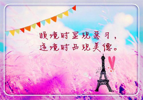 贺清阳林沐涵免费阅读第5章 贺清阳林沐涵大结局